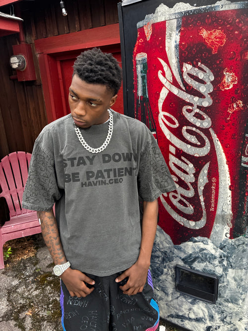 STAY DOWN BE PATIENT HAND WROTE HAVINCEO LOGO TEE GREY
