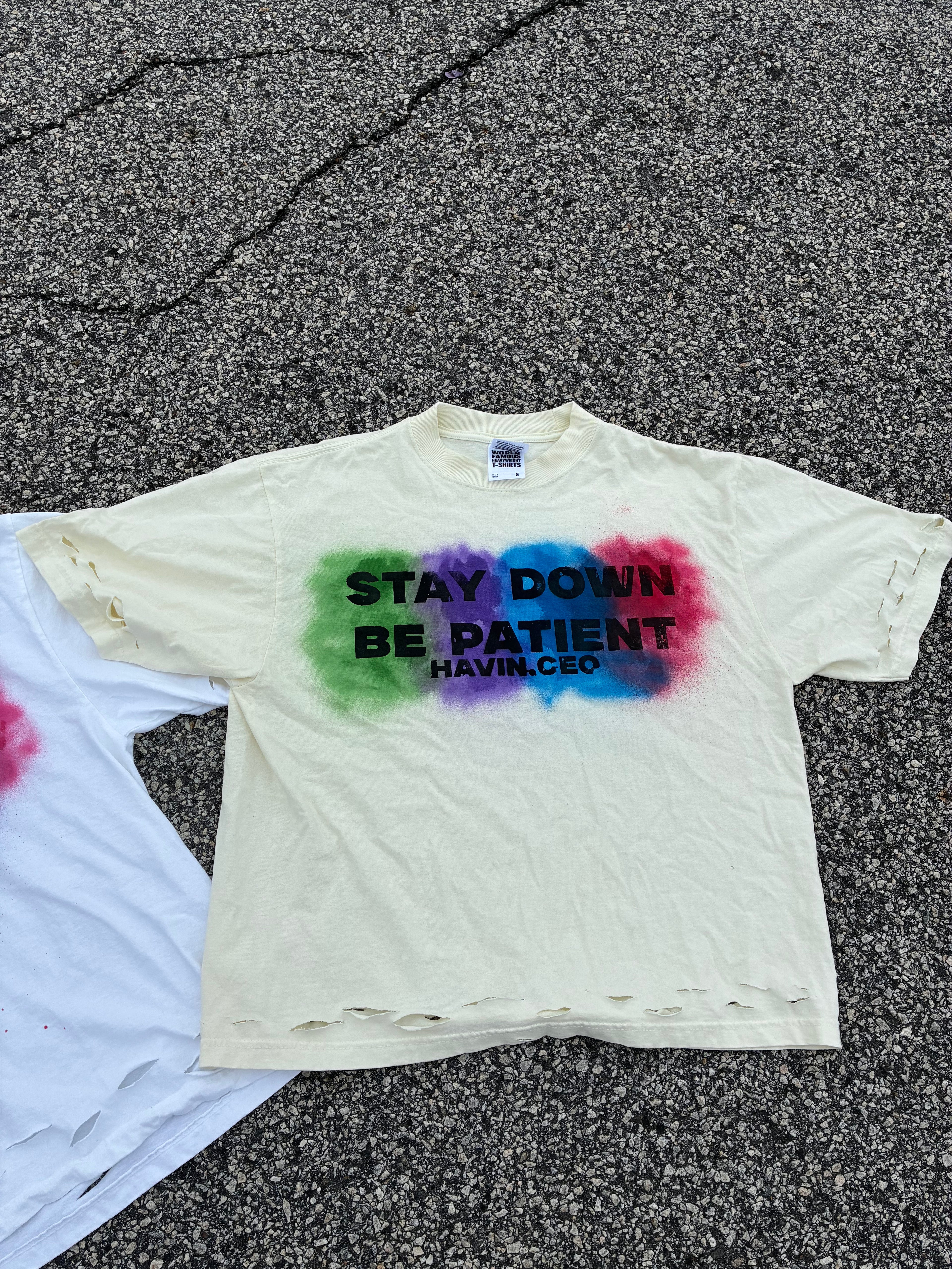 DISTRESSED STAY DOWN BE PATIENT TEE
