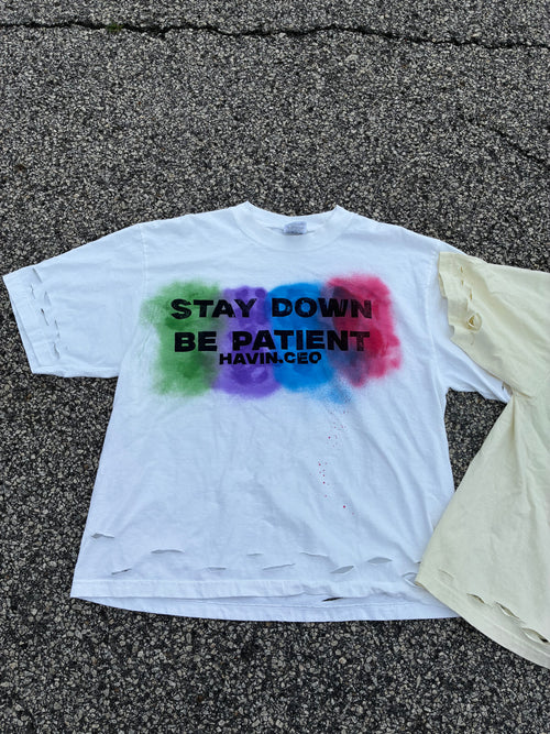 DISTRESSED STAY DOWN BE PATIENT TEE